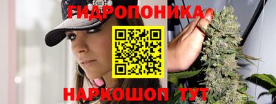 прущие крисы Беслан