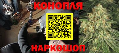 прущие крисы Беслан