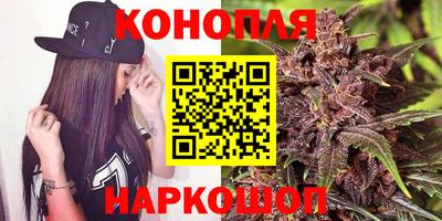 прущие крисы Бийск